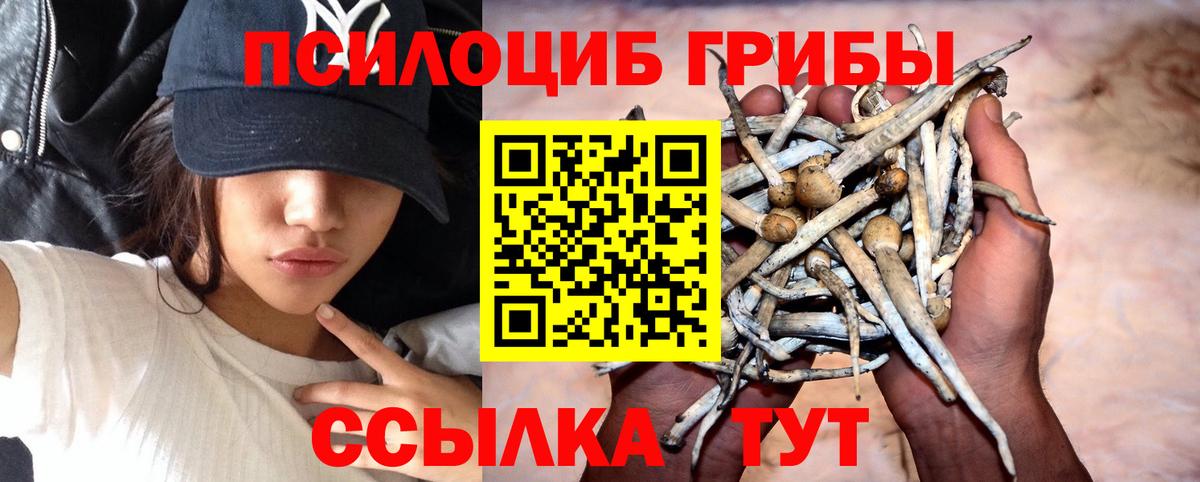 Галлюциногенные грибы мицелий  Вход с VPN  Элиста 