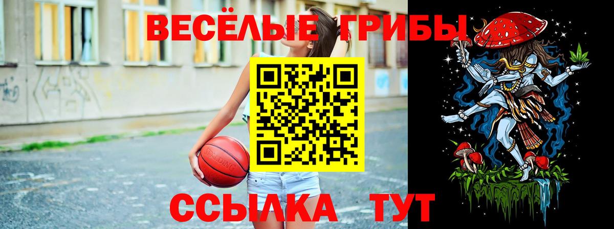 МЕФ   Элиста  Вход с VPN  НБОМе  Бошки Шишки  Гашиш  COCAIN 